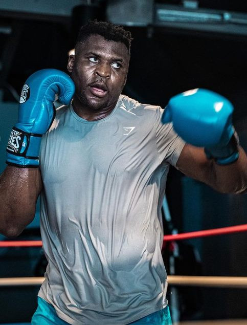 Professional boxer Francis Ngannou - heavyweight division