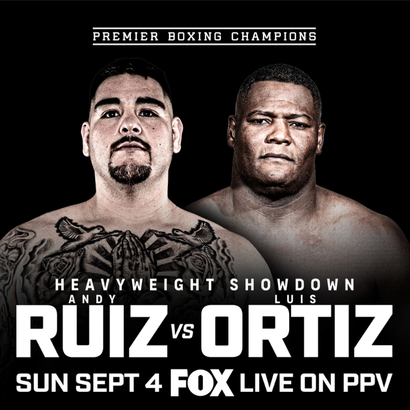 Andy Ruiz vs. Luis Ortiz