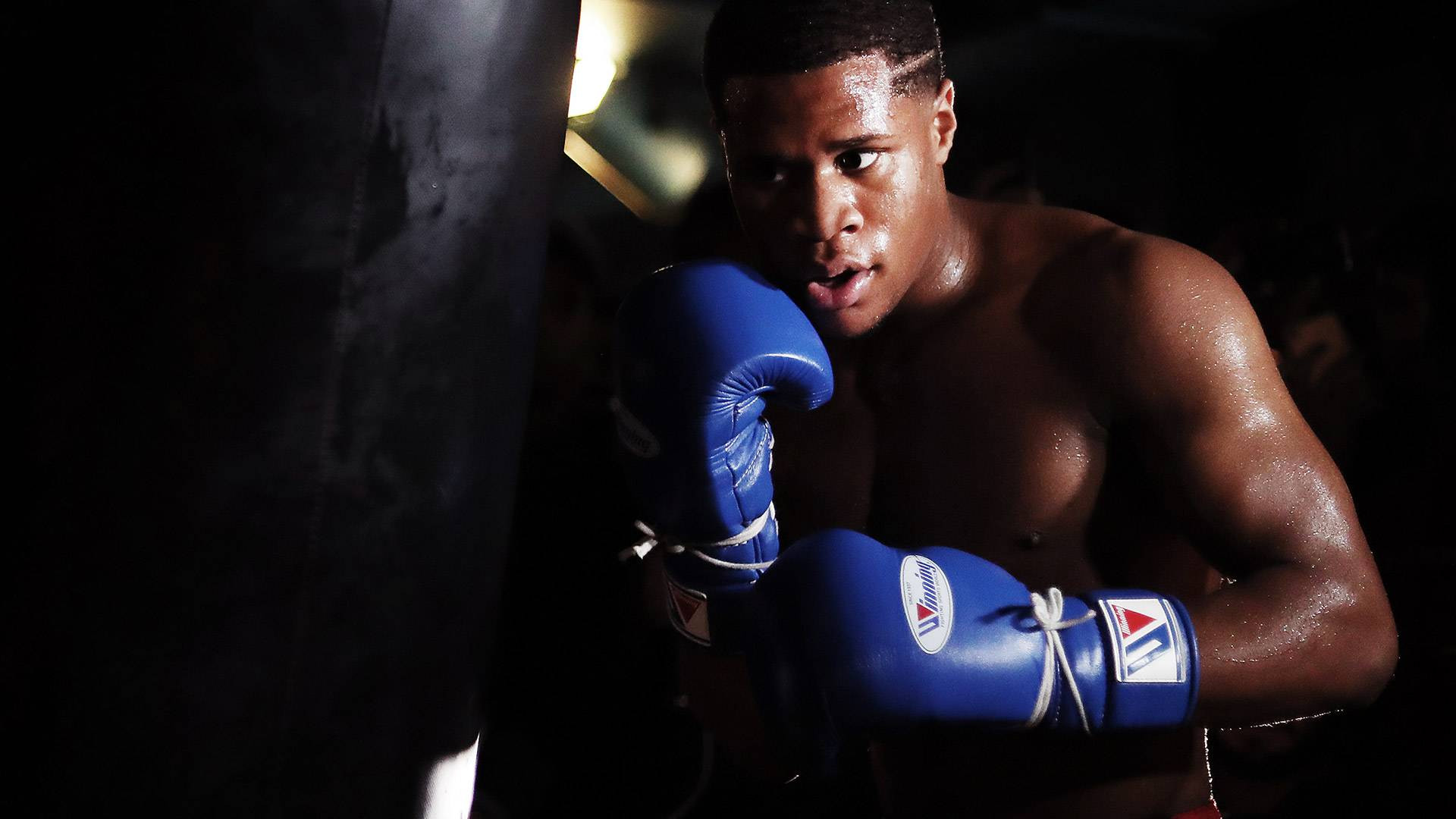 Devin Haney - the champion in recess