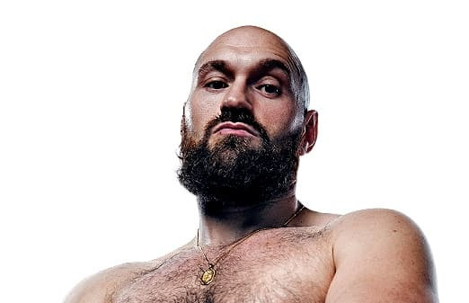 What is Fury’s future?